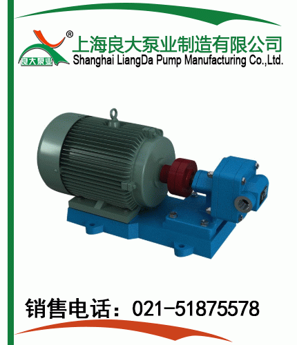 RYB電動(dòng)齒輪泵