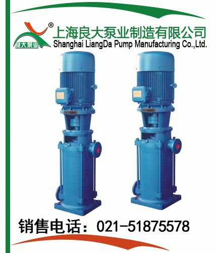 DL、DLR型立式多級(jí)泵