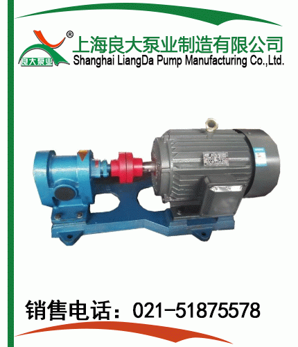 GWB外潤(rùn)滑齒輪油泵